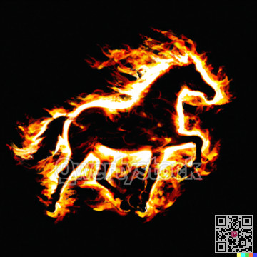 Fiery horse on black background