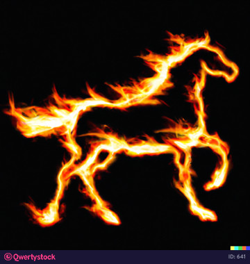 Fiery horse on black background illustration 641