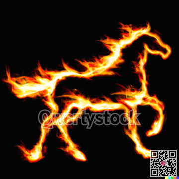 Fiery horse on black background